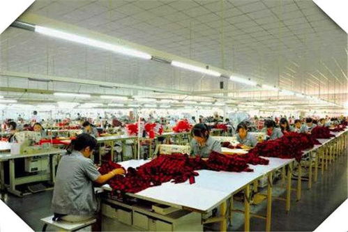 4個適合創業的小型加工廠項目推薦，干好一個年收入高達100萬，覆蓋食品代理和銷售