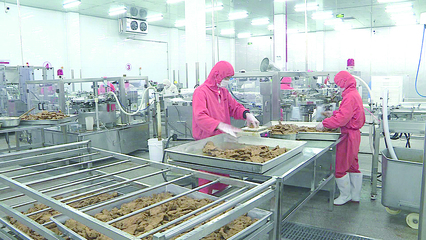 圖片新聞 食品代理與銷售——連接美味與消費(fèi)者的橋梁