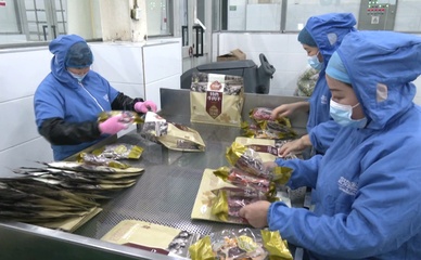 人勤春早爭朝夕 拼搏趕超'開門紅'——食品代理與銷售的機(jī)遇與策略